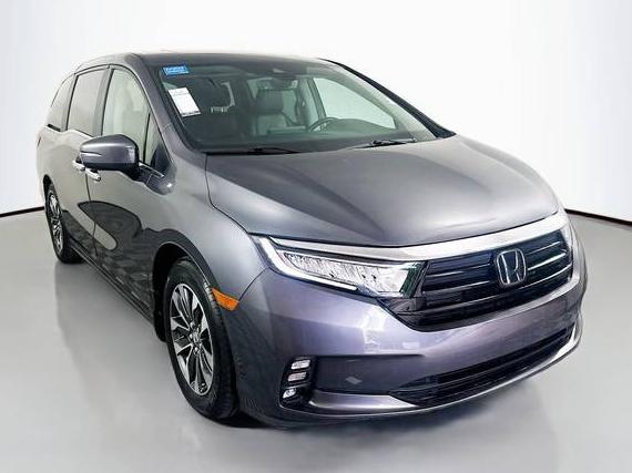 HONDA ODYSSEY 2023 5FNRL6H68PB007879 image
