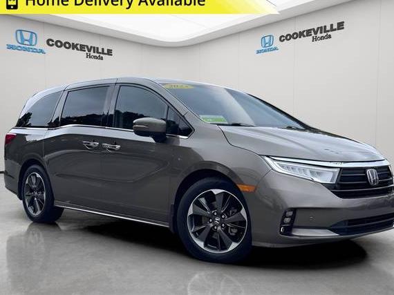 HONDA ODYSSEY 2023 5FNRL6H96PB017322 image HONDA ODYSSEY 2023 5FNRL6H96PB017322 image