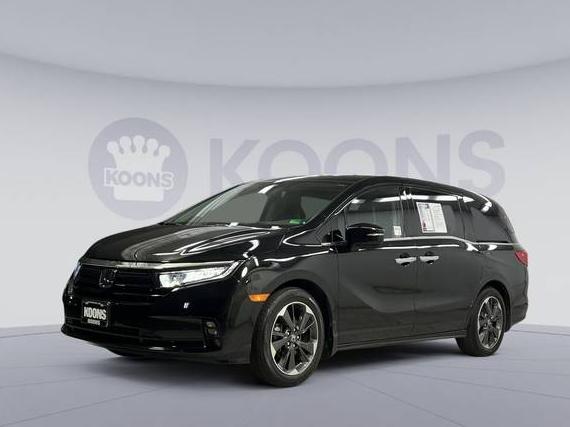HONDA ODYSSEY 2023 5FNRL6H99PB024684 image