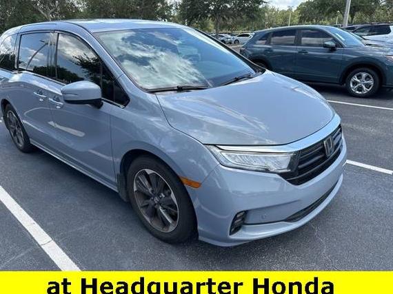 HONDA ODYSSEY 2023 5FNRL6H91PB006406 image