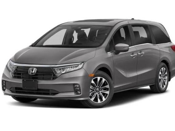 HONDA ODYSSEY 2023 5FNRL6H69PB010645 image