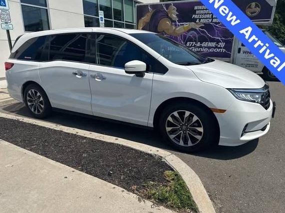HONDA ODYSSEY 2023 5FNRL6H61PB028475 image