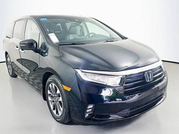 HONDA ODYSSEY 2023 5FNRL6H66PB049015 image