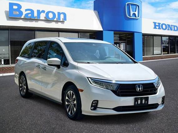 HONDA ODYSSEY 2023 5FNRL6H62PB012608 image