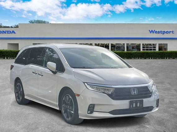 HONDA ODYSSEY 2023 5FNRL6H91PB011721 image