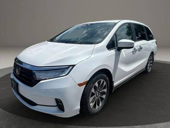 HONDA ODYSSEY 2023 5FNRL6H6XPB079599 image