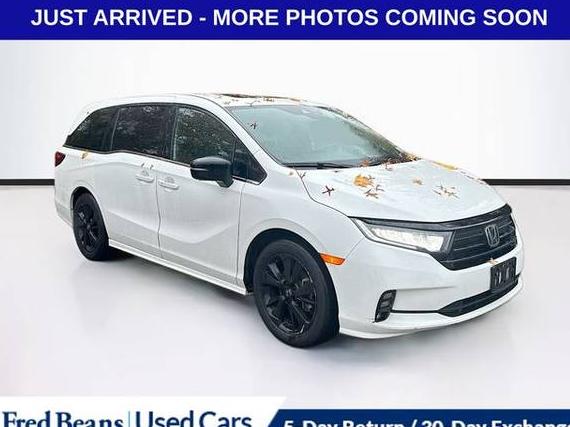 HONDA ODYSSEY 2023 5FNRL6H77PB016887 image