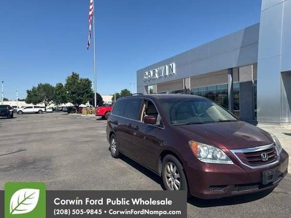 HONDA ODYSSEY 2008 5FNRL384X8B060582 image