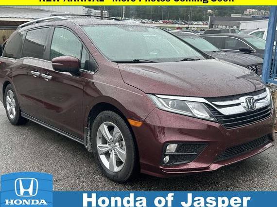 HONDA ODYSSEY 2019 5FNRL6H76KB068925 image