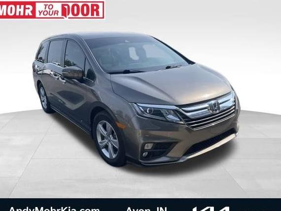 HONDA ODYSSEY 2019 5FNRL6H51KB072749 image