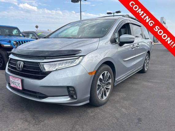 HONDA ODYSSEY 2021 5FNRL6H79MB024422 image