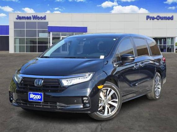 HONDA ODYSSEY 2021 5FNRL6H82MB035853 image