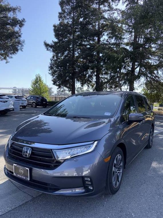 HONDA ODYSSEY 2021 5FNRL6H79MB025702 image