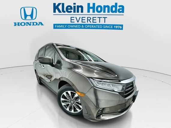HONDA ODYSSEY 2021 5FNRL6H77MB012706 image