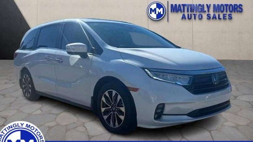 HONDA ODYSSEY 2021 5FNRL6H77MB033703 image