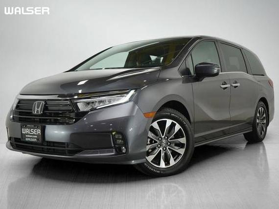 HONDA ODYSSEY 2021 5FNRL6H71MB019652 image