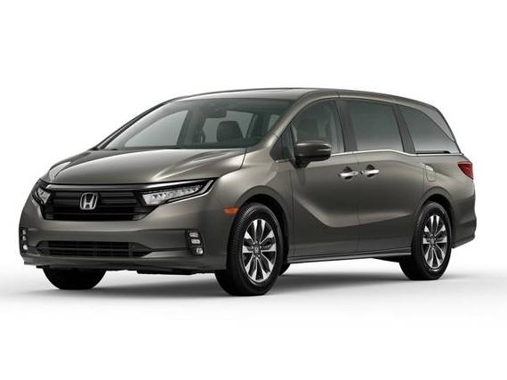 HONDA ODYSSEY 2024 5FNRL6H69RB033684 image