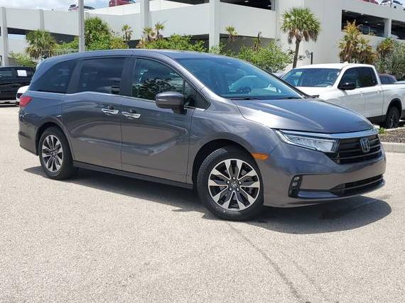 HONDA ODYSSEY 2024 5FNRL6H62RB062542 image