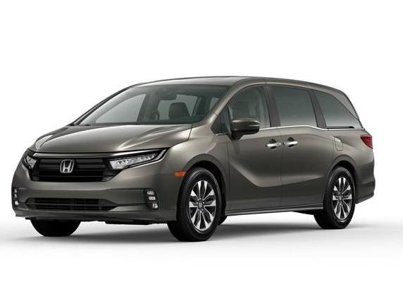 HONDA ODYSSEY 2024 5FNRL6H61RB066811 image