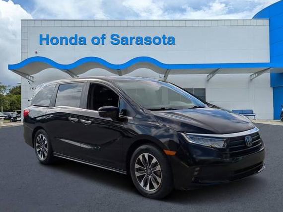 HONDA ODYSSEY 2024 5FNRL6H68RB041694 image