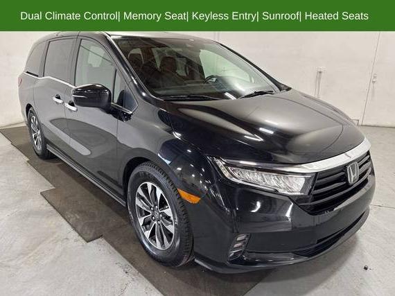 HONDA ODYSSEY 2024 5FNRL6H61RB049037 image