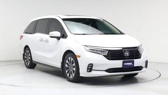 HONDA ODYSSEY 2024 5FNRL6H65RB008880 image