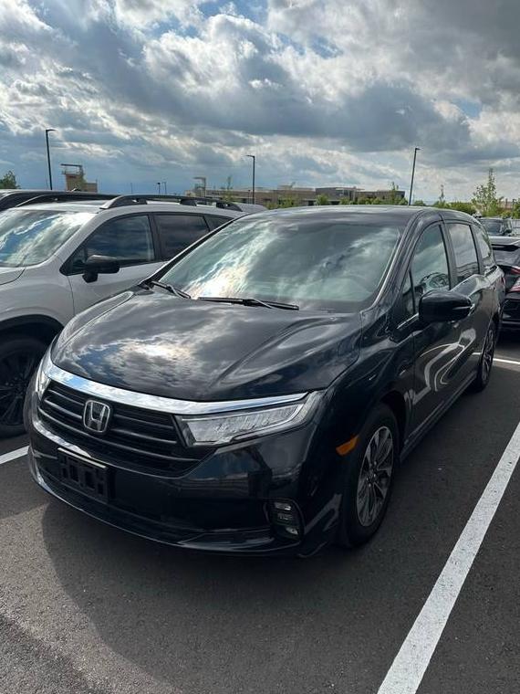 HONDA ODYSSEY 2024 5FNRL6H63RB057902 image