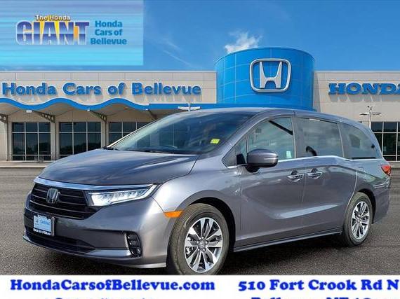 HONDA ODYSSEY 2024 5FNRL6H66RB056291 image