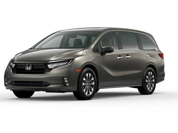HONDA ODYSSEY 2024 5FNRL6H66RB016955 image