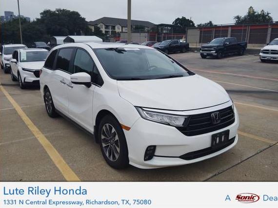 HONDA ODYSSEY 2024 5FNRL6H68RB061542 image