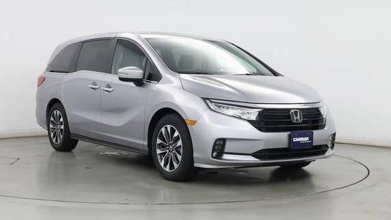 HONDA ODYSSEY 2024 5FNRL6H63RB059214 image