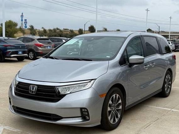 HONDA ODYSSEY 2024 5FNRL6H65RB047274 image