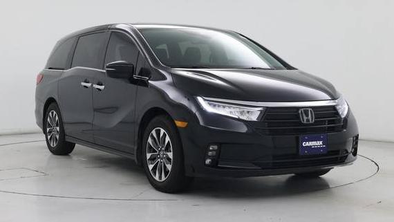 HONDA ODYSSEY 2024 5FNRL6H65RB068819 image