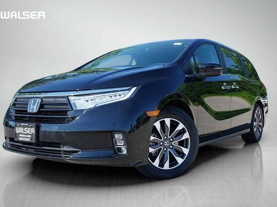 HONDA ODYSSEY 2024 5FNRL6H67RB015832 image