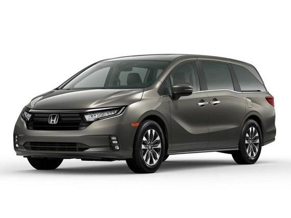 HONDA ODYSSEY 2024 5FNRL6H66RB040544 image
