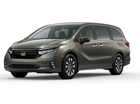 HONDA ODYSSEY 2024 5FNRL6H69RB066071 image