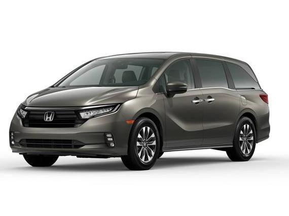 HONDA ODYSSEY 2024 5FNRL6H69RB058343 image