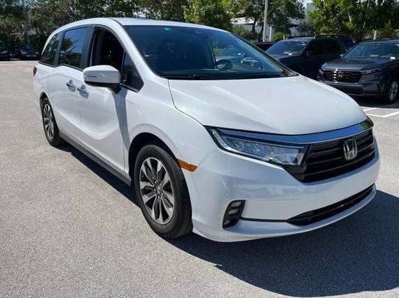 HONDA ODYSSEY 2024 5FNRL6H61RB064962 image