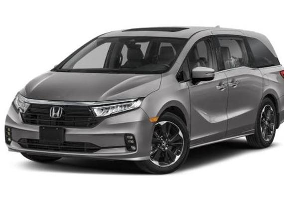 HONDA ODYSSEY 2024 5FNRL6H98RB022993 image