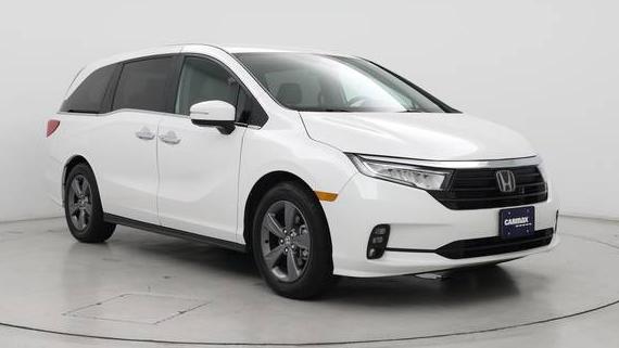 HONDA ODYSSEY 2024 5FNRL6H50RB074454 image