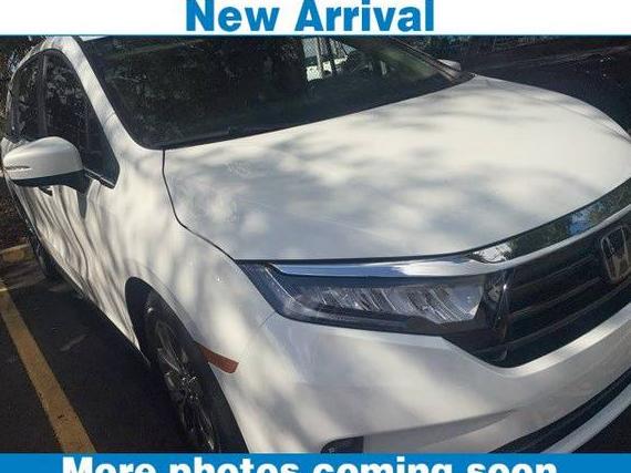 HONDA ODYSSEY 2024 5FNRL6H61RB005782 image