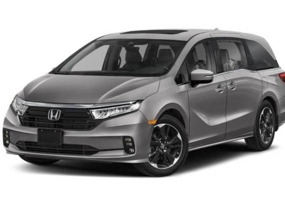 HONDA ODYSSEY 2024 5FNRL6H99RB028608 image