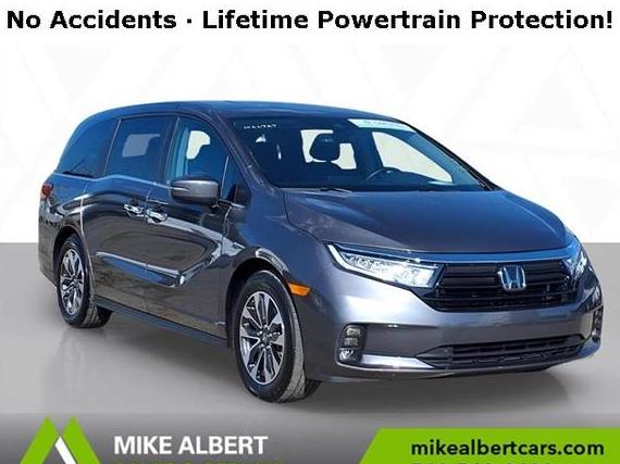 HONDA ODYSSEY 2024 5FNRL6H68RB036043 image