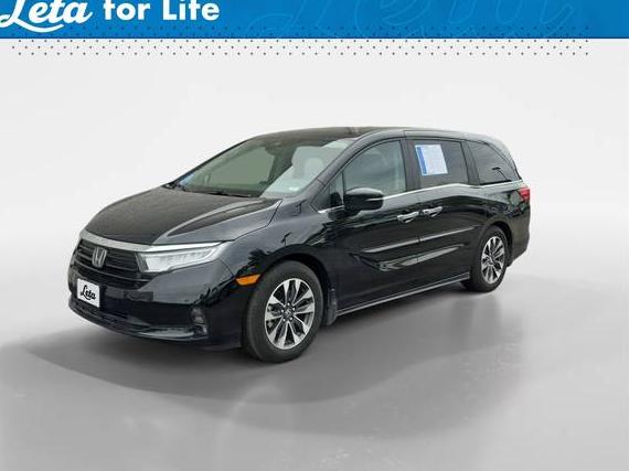 HONDA ODYSSEY 2024 5FNRL6H63RB074781 image