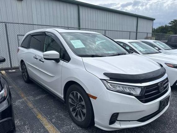 HONDA ODYSSEY 2024 5FNRL6H68RB024832 image