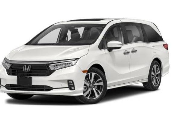 HONDA ODYSSEY 2024 5FNRL6H81RB035253 image