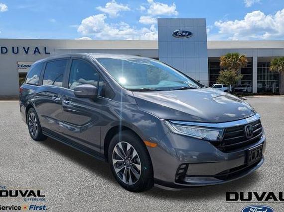 HONDA ODYSSEY 2024 5FNRL6H62RB050911 image