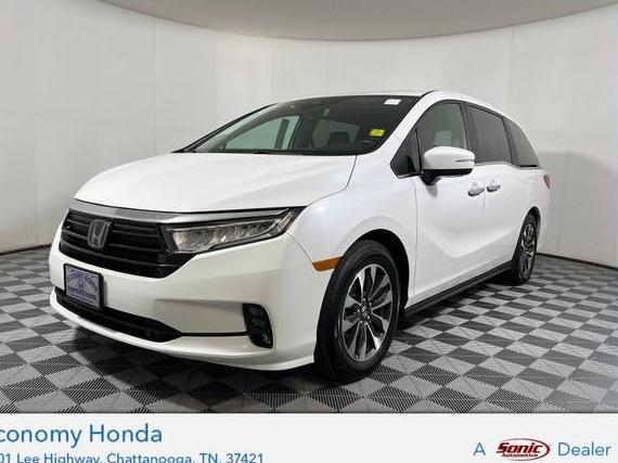 HONDA ODYSSEY 2024 5FNRL6H67RB049107 image