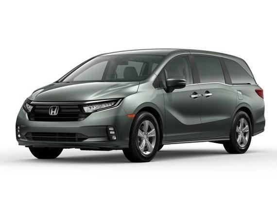 HONDA ODYSSEY 2024 5FNRL6H53RB008545 image