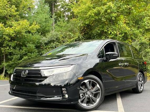 HONDA ODYSSEY 2024 5FNRL6H91RB041093 image
